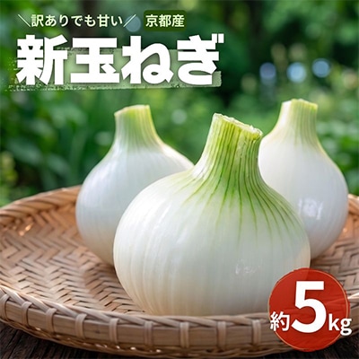 【訳アリ】たまねぎ 5kg　京都府久御山町産【1621127】