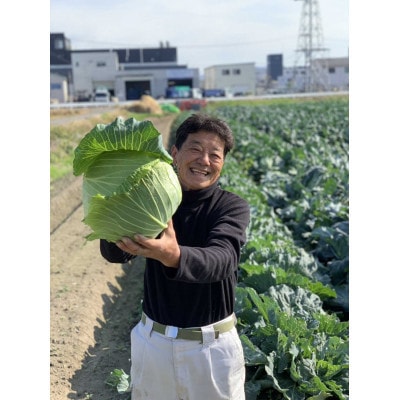 京都府久御山町産　おまかせ 季節の野菜 詰め合わせセット 4〜8品【1701579】