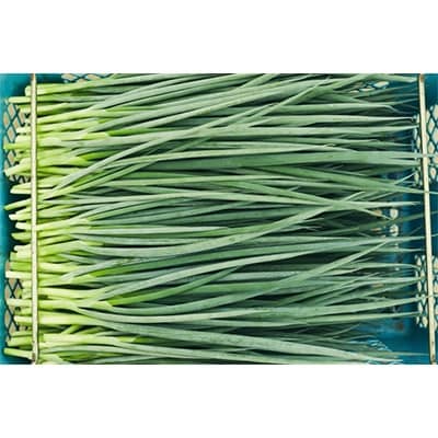 京éœåºç£ ã乿¡ããã5kgãé
éäžå¯å°åïŒé¢å³¶ã»åæµ·éã»æ²çžçã»æ±åã»ä¹å·ãã1139232ã