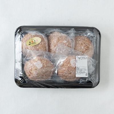 多来多来の自家製手ごねハンバーグ(150g×5個)【配送不可地域：離島】【1258378】