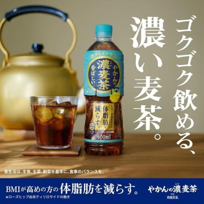繧縺九s縺ョ豼鮗ヲ闌カ600mlPET縲24譛ャ蜈・縲1616663縲