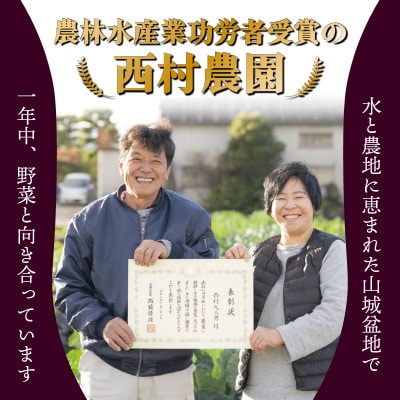 なす3~4種類おまかせ10本!(水なす・フルーツなす・千両なす・ふわとろ長なす)【1613688】
