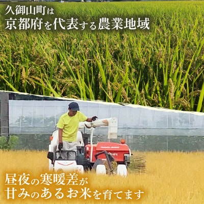 【令和8年産米】【無洗米】先行受付　京都府久御山町産 一等米のお米 ヒノヒカリ 5kg【1733868】