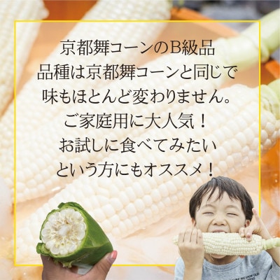 ãããã¯ãã¡ãŒã 京éœãããã¿ã¡ãã 京éœèã³ãŒã³ã®BçŽå(ãã¯ã€ãã³ãŒã³)ãçœãããŠã¢ãã³ã·ãé
éäžå¯å°åïŒé¢å³¶ã»åæµ·éã»æ²çžçã»æ±åãã1757004ã