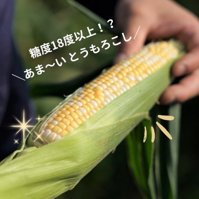 京éœåºä¹
åŸ¡å±±çº ãšããããã ãã€ã«ã©ãŒ 5æ¬ ææ¡ãã³ãŒã³ãé
éäžå¯å°åïŒé¢å³¶ã»åæµ·éã»æ²çžçã»æ±åãã1737376ã