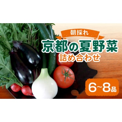 夏野菜 6〜8種 セット　京都府久御山町【配送不可地域：離島】【1623427】