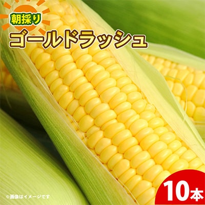 京都府久御山町 とうもろこし 10本【配送不可地域：離島・北海道・沖縄県・東北】【1666122】