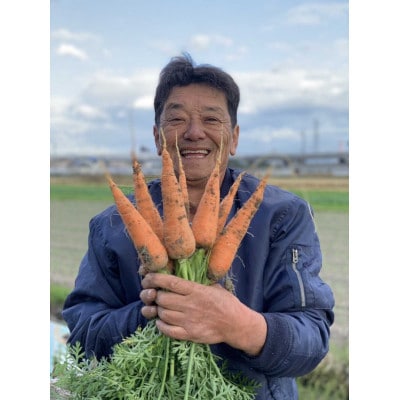 京都府久御山町産　おまかせ 季節の野菜 詰め合わせセット 4〜8品【1701579】