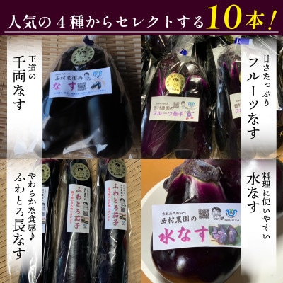 なす3~4種類おまかせ10本!(水なす・フルーツなす・千両なす・ふわとろ長なす)【1613688】