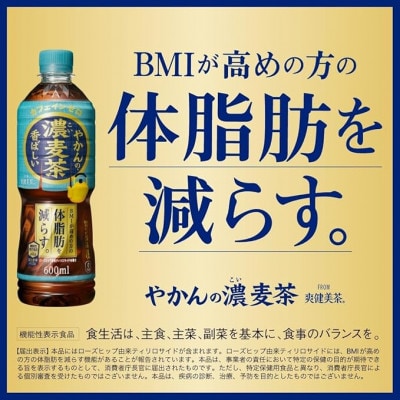 繧縺九s縺ョ豼鮗ヲ闌カ600mlPET縲24譛ャ蜈・縲1616663縲