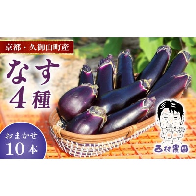 なす4種類おまかせ10本!(水なす・フルーツなす・千両なす・ふわとろ長なす)【1613688】