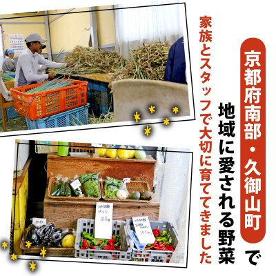 夏野菜 6〜8種 セット　京都府久御山町【配送不可地域：離島】【1623427】