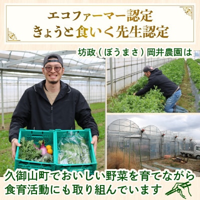 【訳あり】季節の野菜セット4〜6品　京都府久御山町産【配送不可地域：離島】【1615125】