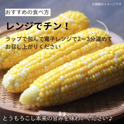 京éœåºä¹
åŸ¡å±±çº ãšããããã ãã€ã«ã©ãŒ 5æ¬ ææ¡ãã³ãŒã³ãé
éäžå¯å°åïŒé¢å³¶ã»åæµ·éã»æ²çžçã»æ±åãã1737376ã