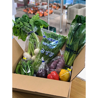 蟄」遽縺ョ莠ャ驛ス蠎應ケ蠕。螻ア驥手除隧ー蜷医○縲宣埼∽ク榊庄蝨ー蝓滂シ夐屬蟲カ繝サ蛹玲オキ驕薙サ豐也ク逵後代1097548縲