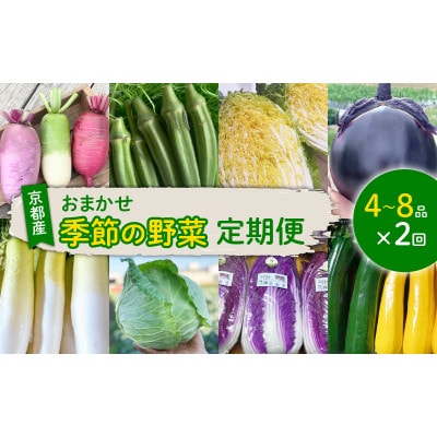 【毎月定期便】季節のおまかせ野菜セット 4〜8種詰め合わせ 計2kg〜3kg全2回【4069421】