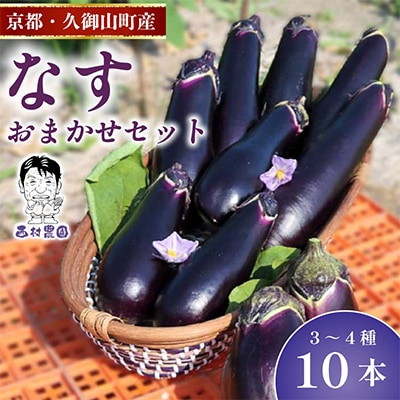 なす3~4種類おまかせ10本!(水なす・フルーツなす・千両なす・ふわとろ長なす)【1613688】