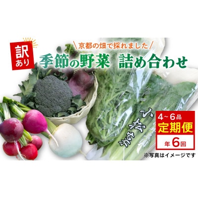 【毎月定期便】【訳あり】季節の野菜セット4〜6品　京都府久御山町産全6回【配送不可地域：離島】【4068241】