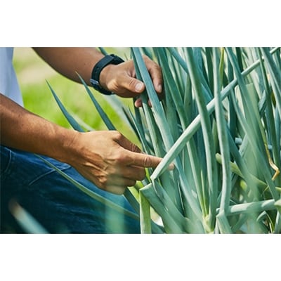 京éœåºç£ ã乿¡ããã5kgãé
éäžå¯å°åïŒé¢å³¶ã»åæµ·éã»æ²çžçã»æ±åã»ä¹å·ãã1139232ã