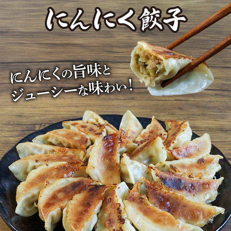 選べる 餃子 2種詰め合わせセット にんにく餃子 ＆ 丹波とりしそ京餃子 180個 冷凍 ぎょうざ ギョウザ ギョーザ しょうが 生姜 豚肉 便利 簡単調理 惣菜 絶品 おかず お子様 家族 こだわり餃子 餃子 人気餃子 簡易包装餃子 訳あり餃子 訳アリ 冷凍餃子 冷凍生餃子 京都 井手町 京都餃子一条 【234】