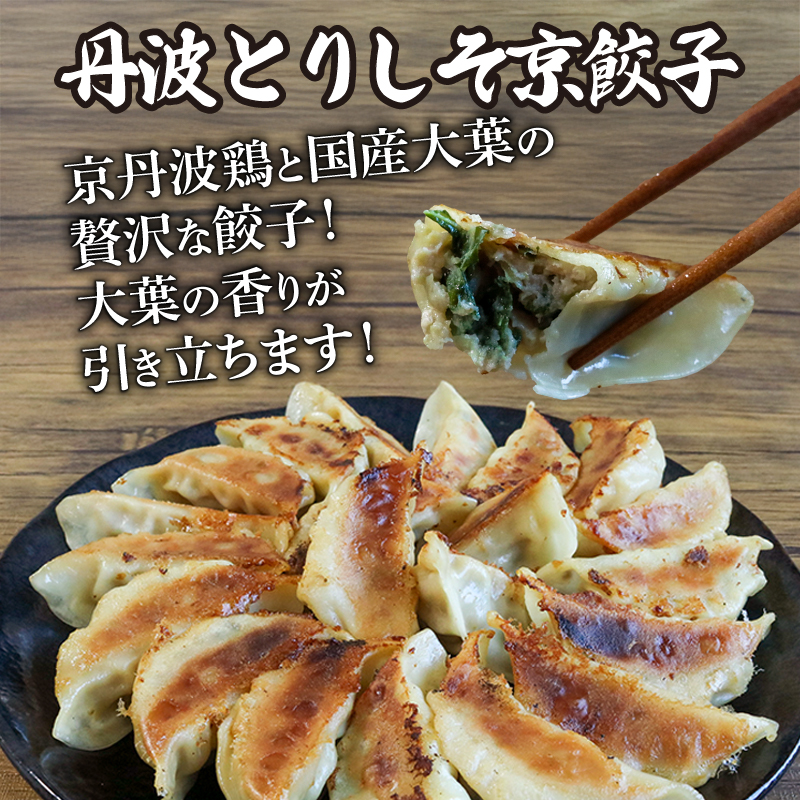 選べる 餃子2種詰め合わせセット しょうが餃子 ＆ 丹波とりしそ京餃子 120個 冷凍 ぎょうざ ギョウザ ギョーザ しょうが 生姜 豚肉 便利 簡単調理 惣菜 絶品 おかず お子様 家族 こだわり餃子 餃子 人気餃子 簡易包装餃子 訳あり餃子 訳アリ 冷凍餃子 冷凍生餃子 京都 井手町 京都餃子一条 【232】