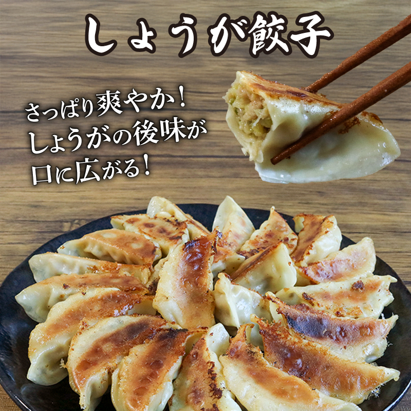 選べる 餃子 2種詰め合わせセット にんにく餃子 ＆ しょうが餃子 120個 冷凍 ぎょうざ ギョウザ ギョーザ しょうが 生姜 豚肉 便利 簡単調理 惣菜 絶品 おかず お子様 家族 こだわり餃子 餃子 人気餃子 簡易包装餃子 訳あり餃子 訳アリ 冷凍餃子 冷凍生餃子 京都 井手町 京都餃子一条 【230】