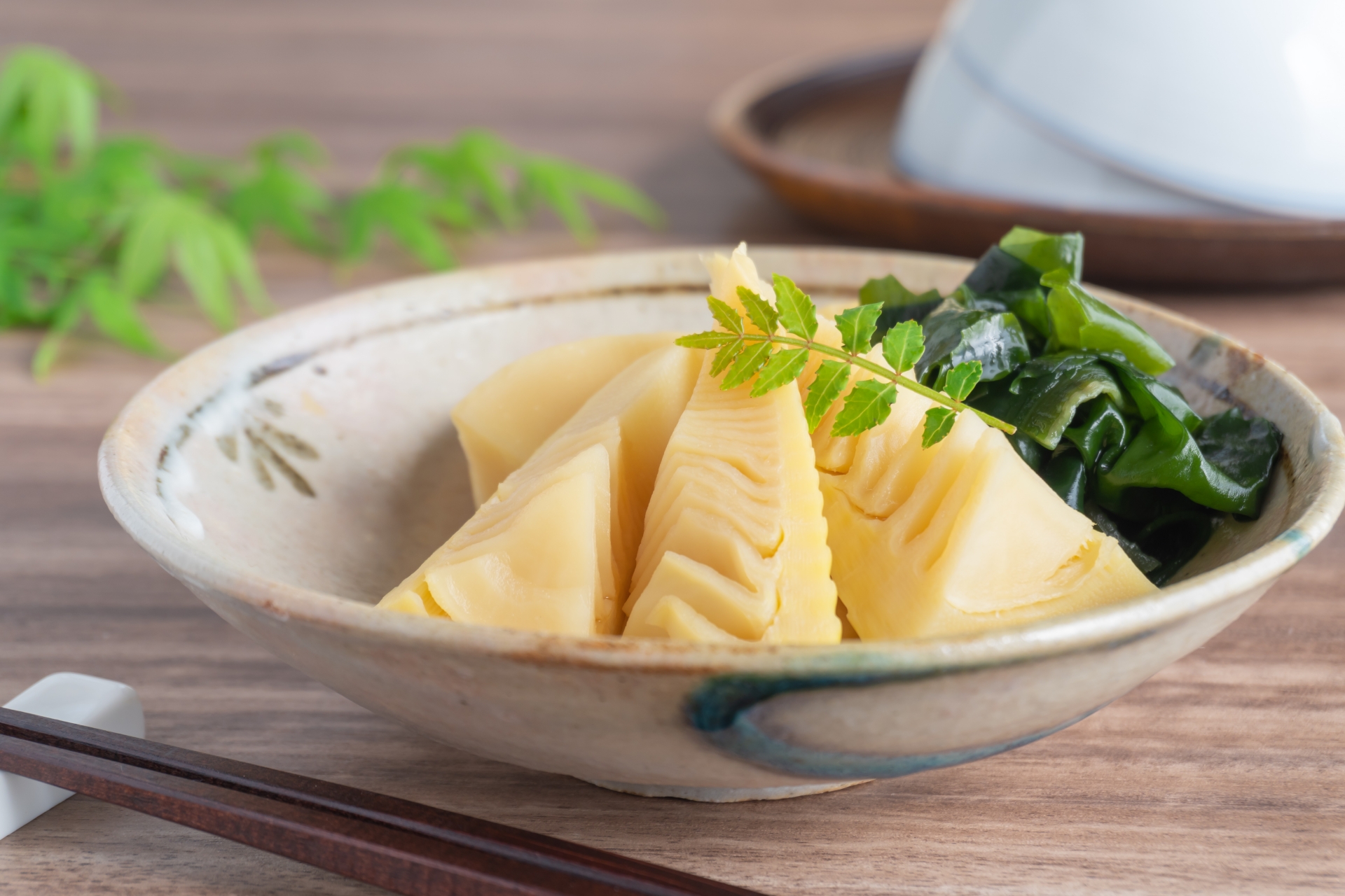 京都 たけのこ 水煮 缶詰 1.5kg(500g×3缶) 白子筍 京たけのこ 国産 京都山城 産 筍 京野菜 野菜 国産 炊き込みご飯 煮物 小分け まとめ買い 常温保存 井手町【009】