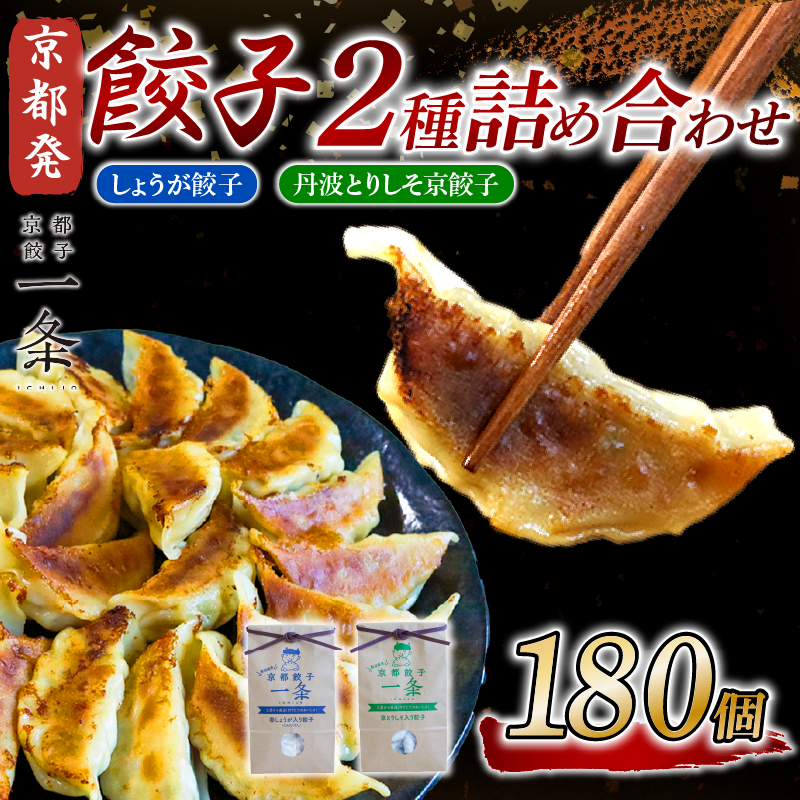 選べる 餃子 2種詰め合わせセット しょうが餃子 ＆ 丹波とりしそ京餃子 180個 冷凍 ぎょうざ ギョウザ ギョーザ しょうが 生姜 豚肉 便利 簡単調理 惣菜 絶品 おかず お子様 家族 こだわり餃子 餃子 人気餃子 簡易包装餃子 訳あり餃子 訳アリ 冷凍餃子 冷凍生餃子 京都 井手町 京都餃子一条 【235】