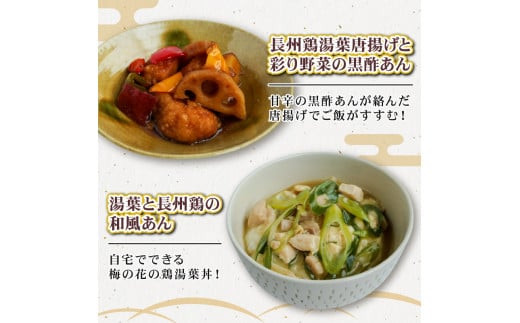 梅の花 惣菜定期便(全3回) 簡単便利 惣菜 定期便 3ヶ月 長州鶏 湯葉 唐揚げ 黒酢 和風 鶏湯葉丼 中華風 中華丼 豆腐ハンバーグ トマトソース 井手町 京都府 【219】