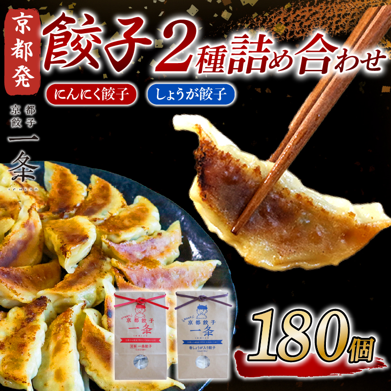 選べる 餃子 2種詰め合わせセット にんにく餃子 ＆ しょうが餃子 180個 冷凍 ぎょうざ ギョウザ ギョーザ しょうが 生姜 豚肉 便利 簡単調理 惣菜 絶品 おかず お子様 家族 こだわり餃子 餃子 人気餃子 簡易包装餃子 訳あり餃子 訳アリ 冷凍餃子 冷凍生餃子 京都 井手町 京都餃子一条 【233】