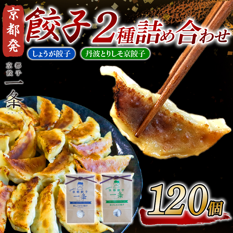 選べる 餃子2種詰め合わせセット しょうが餃子 ＆ 丹波とりしそ京餃子 120個 冷凍 ぎょうざ ギョウザ ギョーザ しょうが 生姜 豚肉 便利 簡単調理 惣菜 絶品 おかず お子様 家族 こだわり餃子 餃子 人気餃子 簡易包装餃子 訳あり餃子 訳アリ 冷凍餃子 冷凍生餃子 京都 井手町 京都餃子一条 【232】