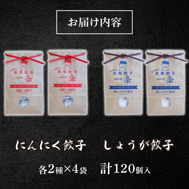 選べる 餃子 2種詰め合わせセット にんにく餃子 ＆ しょうが餃子 120個 冷凍 ぎょうざ ギョウザ ギョーザ しょうが 生姜 豚肉 便利 簡単調理 惣菜 絶品 おかず お子様 家族 こだわり餃子 餃子 人気餃子 簡易包装餃子 訳あり餃子 訳アリ 冷凍餃子 冷凍生餃子 京都 井手町 京都餃子一条 【230】