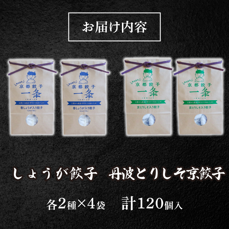 選べる 餃子2種詰め合わせセット しょうが餃子 ＆ 丹波とりしそ京餃子 120個 冷凍 ぎょうざ ギョウザ ギョーザ しょうが 生姜 豚肉 便利 簡単調理 惣菜 絶品 おかず お子様 家族 こだわり餃子 餃子 人気餃子 簡易包装餃子 訳あり餃子 訳アリ 冷凍餃子 冷凍生餃子 京都 井手町 京都餃子一条 【232】