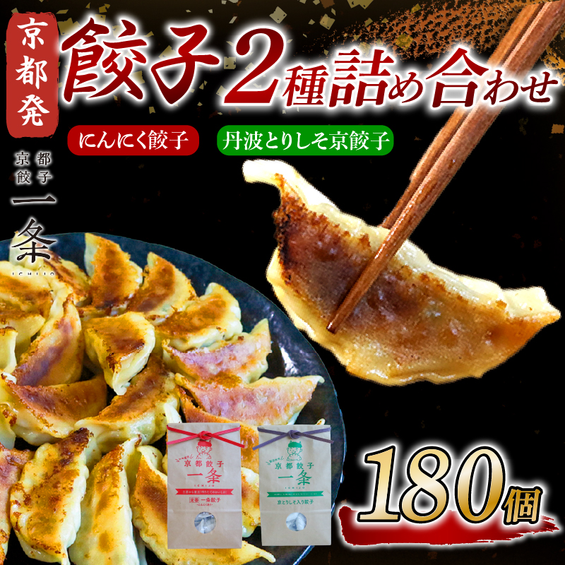 選べる 餃子 2種詰め合わせセット にんにく餃子 ＆ 丹波とりしそ京餃子 180個 冷凍 ぎょうざ ギョウザ ギョーザ しょうが 生姜 豚肉 便利 簡単調理 惣菜 絶品 おかず お子様 家族 こだわり餃子 餃子 人気餃子 簡易包装餃子 訳あり餃子 訳アリ 冷凍餃子 冷凍生餃子 京都 井手町 京都餃子一条 【234】