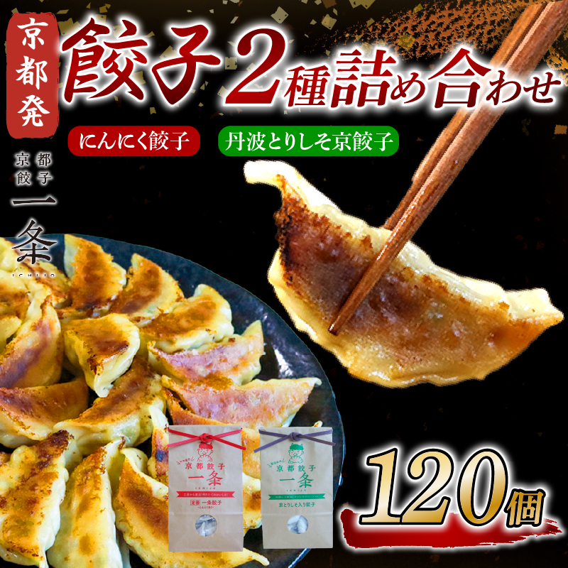 選べる 餃子 2種詰め合わせセット にんにく餃子 ＆ 丹波とりしそ京餃子 120個 冷凍 ぎょうざ ギョウザ ギョーザ しょうが 生姜 豚肉 便利 簡単調理 惣菜 絶品 おかず お子様 家族 こだわり餃子 餃子 人気餃子 簡易包装餃子 訳あり餃子 訳アリ 冷凍餃子 冷凍生餃子 京都 井手町 京都餃子一条 【231】