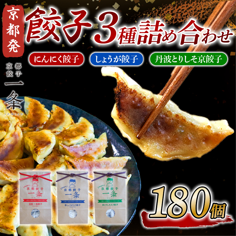 餃子 3種詰め合わせセット 180個 (にんにく餃子/しょうが餃子/丹波とりしそ京餃子) 冷凍 ぎょうざ ギョウザ ギョーザ しょうが 生姜 豚肉 便利 簡単調理 惣菜 絶品 おかず お子様 家族 こだわり餃子 餃子 人気餃子 簡易包装餃子 訳あり餃子 訳アリ 冷凍餃子 冷凍生餃子 京都 井手町 京都餃子一条 【236】