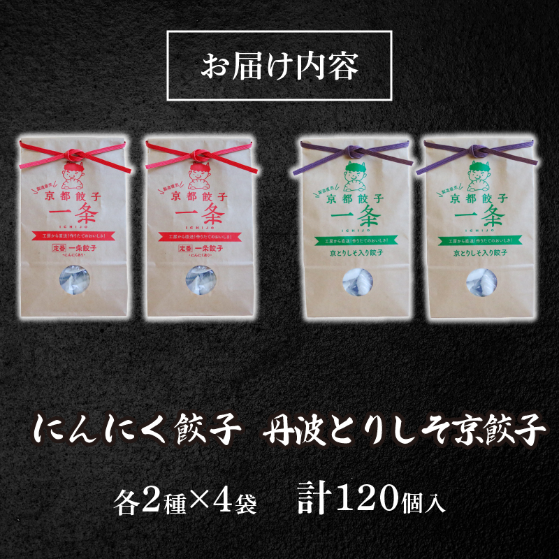 選べる 餃子 2種詰め合わせセット にんにく餃子 ＆ 丹波とりしそ京餃子 120個 冷凍 ぎょうざ ギョウザ ギョーザ しょうが 生姜 豚肉 便利 簡単調理 惣菜 絶品 おかず お子様 家族 こだわり餃子 餃子 人気餃子 簡易包装餃子 訳あり餃子 訳アリ 冷凍餃子 冷凍生餃子 京都 井手町 京都餃子一条 【231】