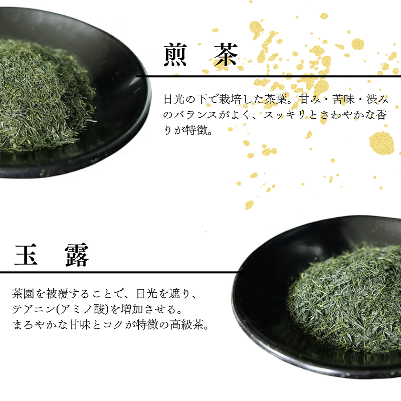 宇治茶 緑茶詰合せ ( 煎茶 / 玉露 ) 2本 お茶 日本茶 国産 飲料 高級 贈答 茶 京都府 京都 井手町 脇本常香園【007】