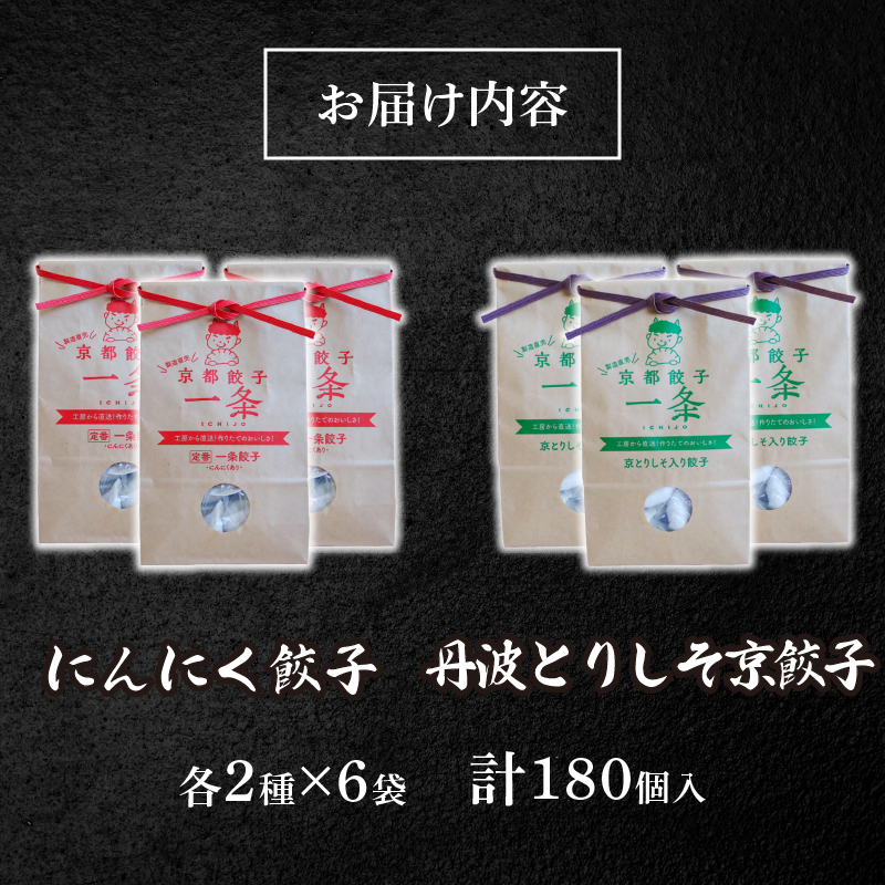 選べる 餃子 2種詰め合わせセット にんにく餃子 ＆ 丹波とりしそ京餃子 180個 冷凍 ぎょうざ ギョウザ ギョーザ しょうが 生姜 豚肉 便利 簡単調理 惣菜 絶品 おかず お子様 家族 こだわり餃子 餃子 人気餃子 簡易包装餃子 訳あり餃子 訳アリ 冷凍餃子 冷凍生餃子 京都 井手町 京都餃子一条 【234】