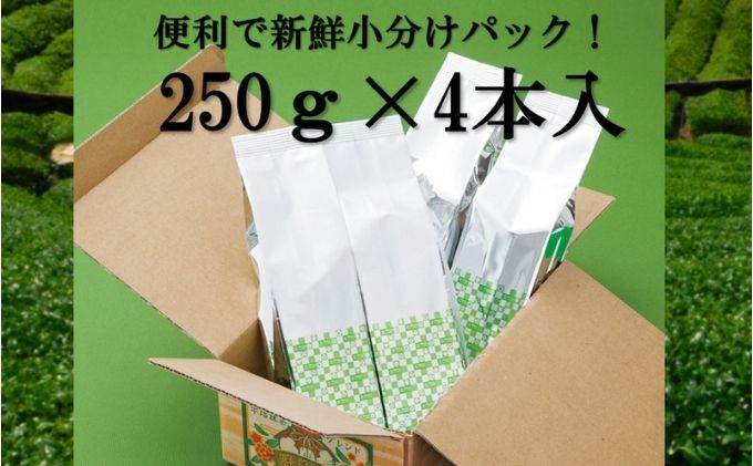 宇治抹茶入深蒸し煎1kg3ヵ月毎3回コース（250g×4袋×3回）〈定期便 煎茶 お茶 茶 緑茶 深むし 深蒸し茶 茶葉 宇治抹茶 抹茶 飲料 ブレンド 加工食品〉