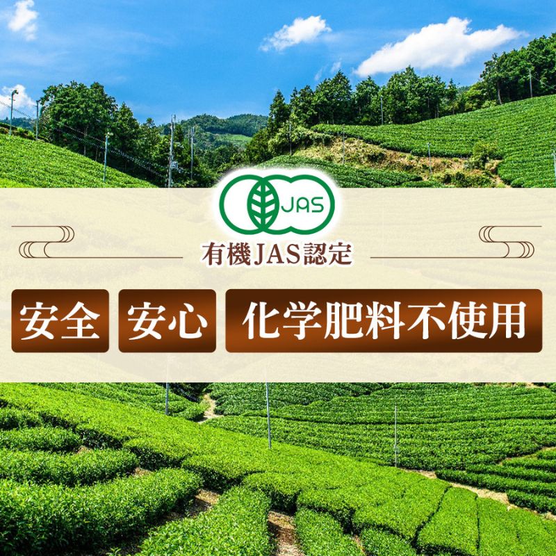 宇治・有機焙じ茶ティーバッグタイプ  3g×40個入×3缶〈有機 オーガニック 無農薬 お茶 ほうじ茶 焙じ茶 ティーバッグ ティーパック宇治 飲料 日本茶 加工食品 リラックス 茶缶〉 飲料類 