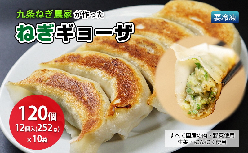 九条ねぎ農家が作ったねぎギョウザ（12個入×10袋） 〈 ぎょうざ 餃子 ギョーザ 九条ねぎ 京野菜 冷凍 冷凍餃子 惣菜 国産豚肉  おかず つまみ 夕飯 晩御飯 手軽 便利 〉 