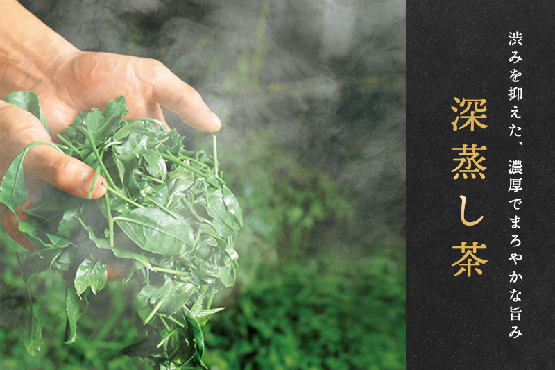深蒸し煎茶ティーバッグ(40個入×2袋)〈お茶 茶 煎茶 緑茶 深蒸し茶 深むし 宇治 京都 ティーバッグ 加工食品〉 