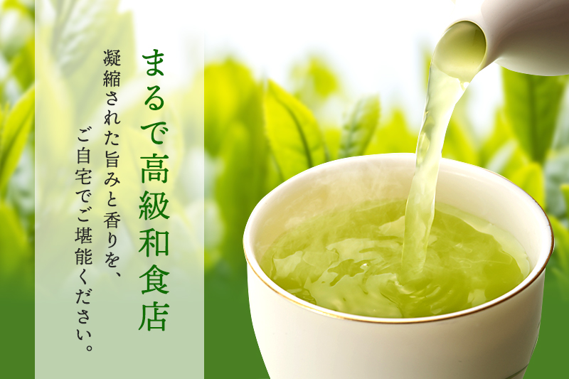宇治深蒸し煎茶「松の匠」1kg（250g×4本）〈お茶 茶 煎茶 緑茶 高級 茶葉 深むし 深蒸し茶 茶葉 宇治 宇治茶 日本茶 飲料 加工食品〉 