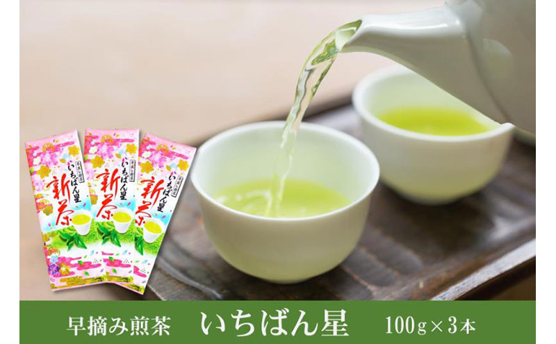 早摘み煎茶いちばん星100ｇ入×3本　宇治茶の木谷製茶場　〈 煎茶 お茶 茶 緑茶 新茶 茶葉 お茶葉 早摘み いちばん星 宇治 〉 加工食品