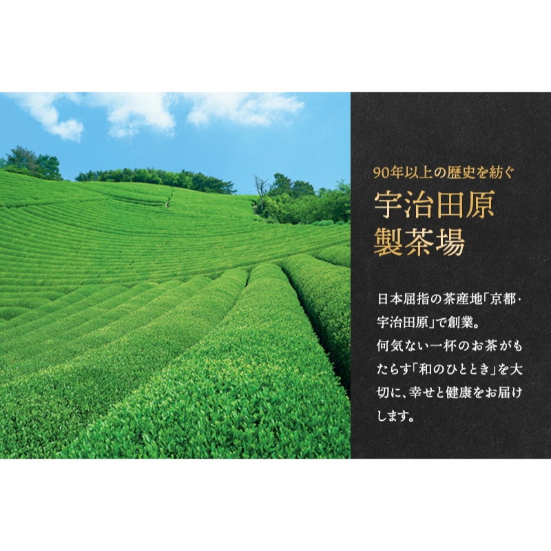 こいまろ茶 6本入り (100g×6本)〈 お茶 茶 緑茶 煎茶 宇治抹茶 宇治 深むし 深蒸し茶 若蒸し茶 玉露 モンドセレクション 金賞 まろやか 加工食品 飲料 〉