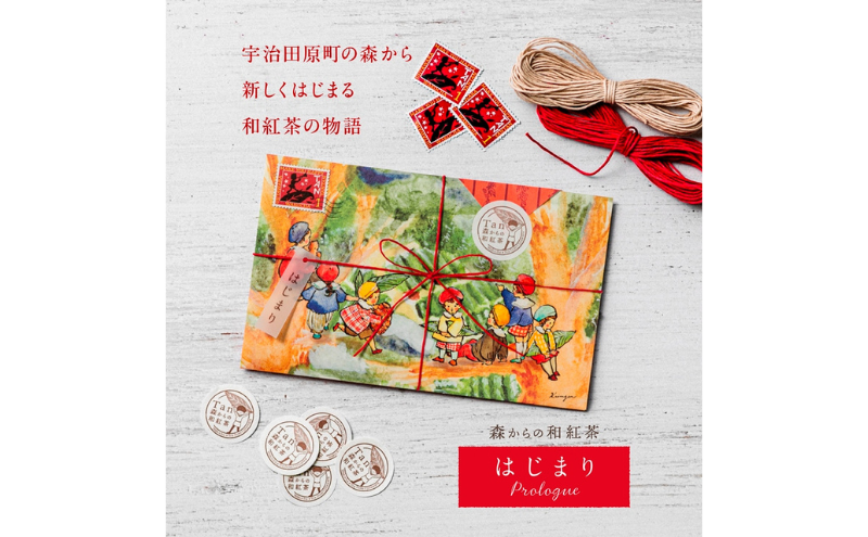 森からの和紅茶　はじまり5セット（15袋入）〈紅茶 お茶 茶 茶葉 和紅茶ティーバッグ 飲料〉