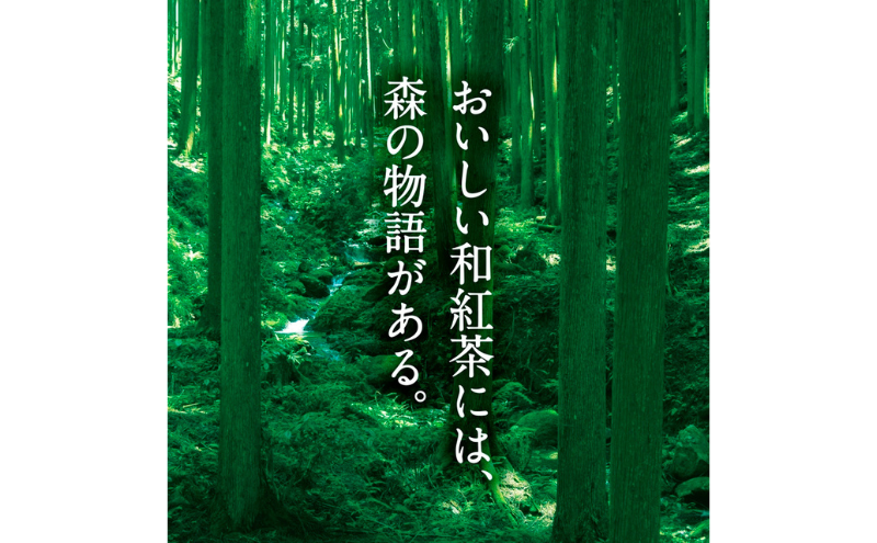 森ããã®åçŽ
è¶ãã¯ããŸã5ã»ããïŒ15è¢å
¥ïŒãçŽ
è¶ ãè¶ è¶ è¶è åçŽ
è¶ãã£ãŒãã㰠飲æã