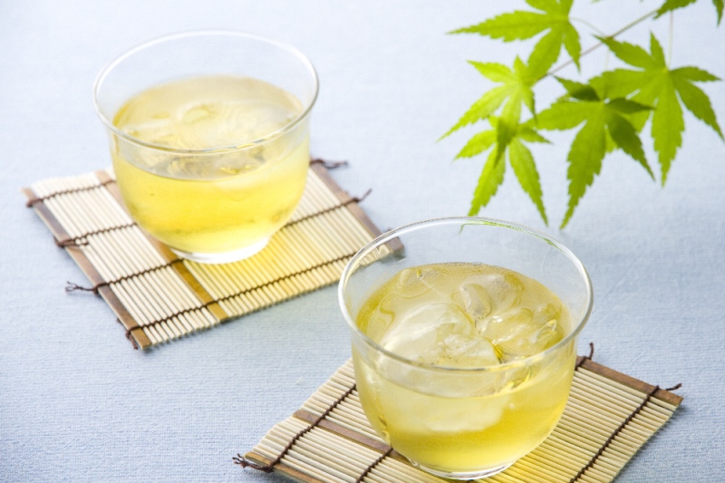 宇治・煎茶ティーバッグ 5g×20個×5袋〈お茶 茶 煎茶 緑茶 かぶせ茶 飲料 ティーバッグ 煎茶ティーバッグ ティーパック 宇治茶 日本茶 加工食品〉