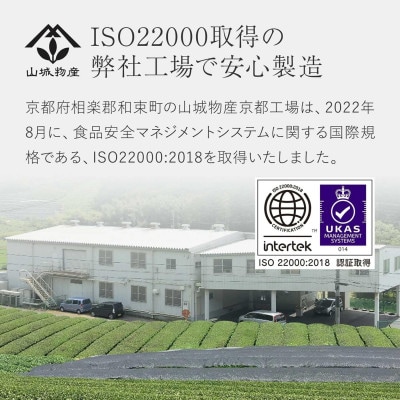 業務用ティーバッグ (国産煎茶)【1585808】